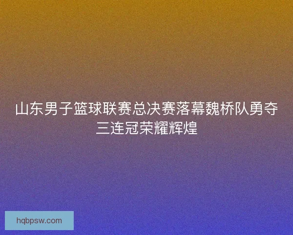 山东男子篮球联赛总决赛落幕魏桥队勇夺三连冠荣耀辉煌