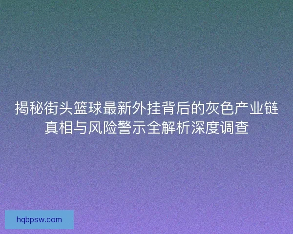 揭秘街头篮球最新外挂背后的灰色产业链真相与风险警示全解析深度调查