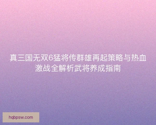 真三国无双6猛将传群雄再起策略与热血激战全解析武将养成指南